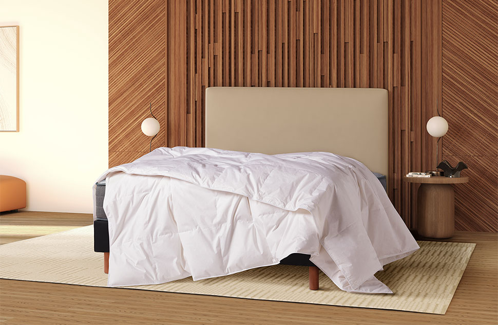 Couette en Plumes et Duvet